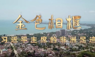金色相框｜习近平主席的非洲足迹
