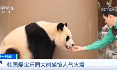 “福宝”再见！韩国民众不舍告别旅韩大熊猫“福宝”
