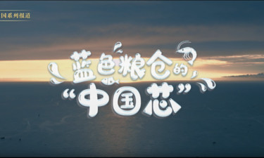 时习之·温暖中国丨蓝色粮仓的“中国芯”