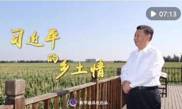 微纪录片｜习近平的乡土情