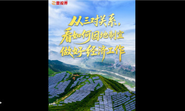 壹視界·任平文章解讀｜從三對關(guān)系，看如何因地制宜做好經(jīng)濟(jì)工作