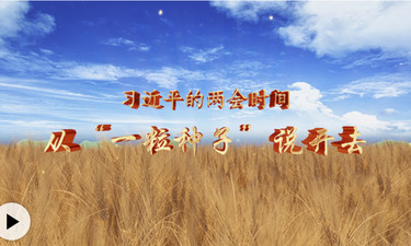 习近平的两会时间丨从“一粒种子”说开去