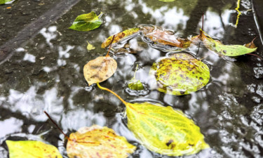 广西开启“多雨模式”！3月将有4次降雨降温天气过程......